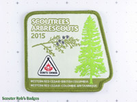 Click to enlarge 2015 Scoutrees (error)